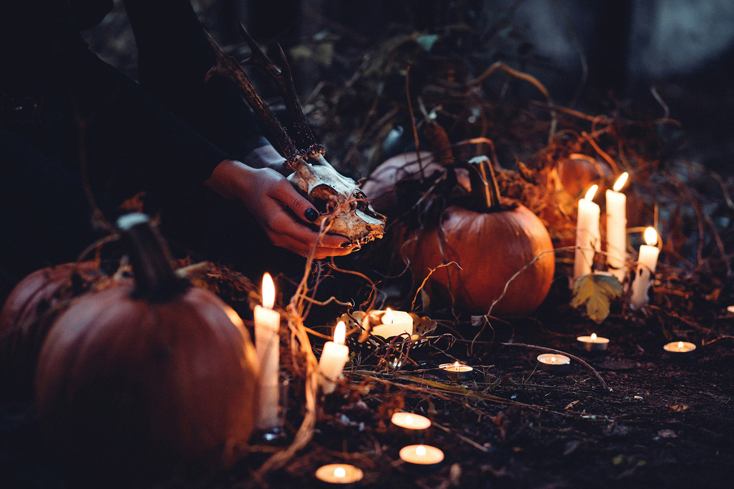 The Ultimate Guide to Choosing Halloween Party Themes for Adults