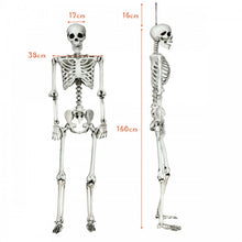 Load image into Gallery viewer, Costway 5.4 ft Halloween Skeleton Decoration Adjustable Life-Size - Suitable for Haunted House Party Decor