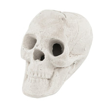 Load image into Gallery viewer, Halloween Fire Pit Skeleton - Reusable for Campfire Parties and Haunted House Decorations