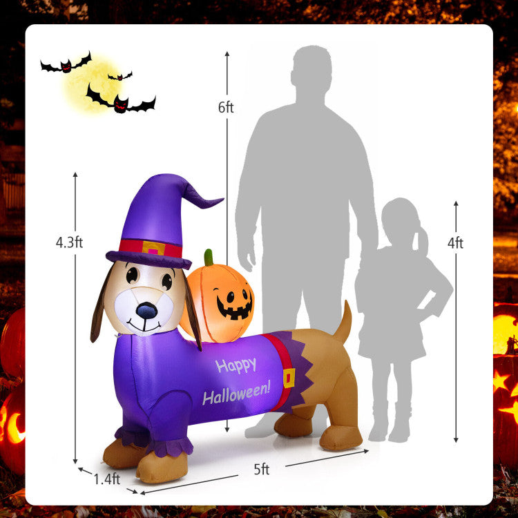 Halloween Inflatable Dachshund with Pumpkin - Suitable for Trick-or-Treat Events and Haunted Houses