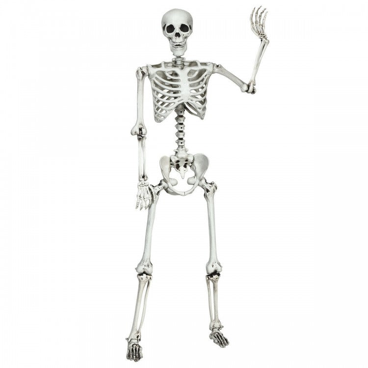 Costway 5.4 ft Halloween Skeleton Decoration Adjustable Life-Size - Suitable for Haunted House Party Decor