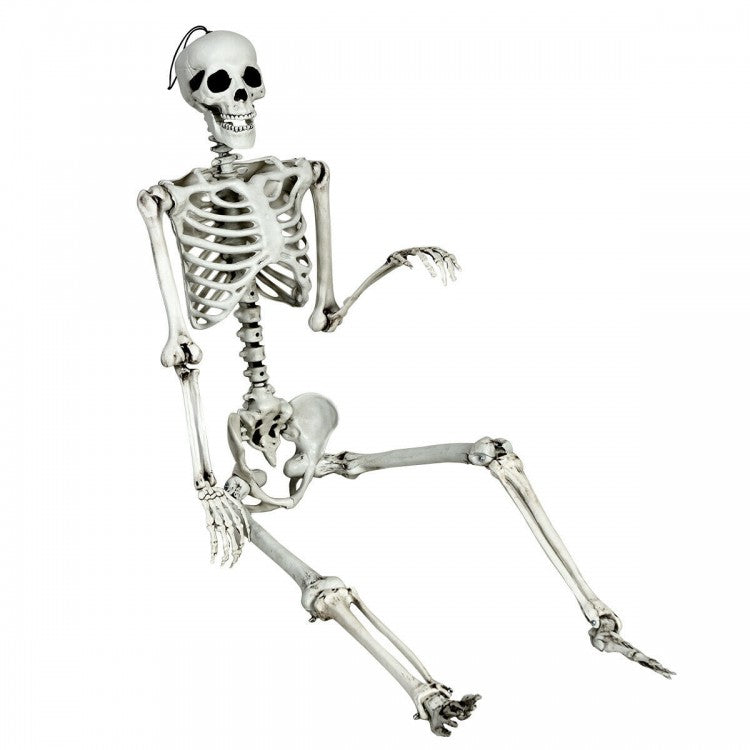 Costway 5.4 ft Halloween Skeleton Decoration Adjustable Life-Size - Suitable for Haunted House Party Decor