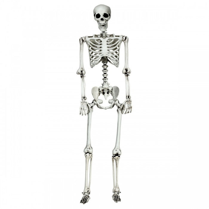 Costway 5.4 ft Halloween Skeleton Decoration Adjustable Life-Size - Suitable for Haunted House Party Decor