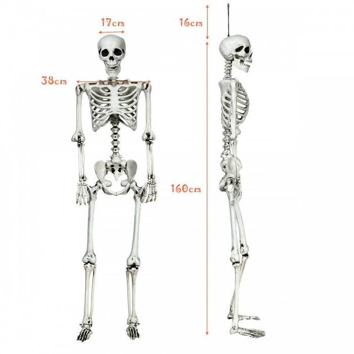 Costway 5.4 ft Halloween Skeleton Decoration Adjustable Life-Size - Suitable for Haunted House Party Decor