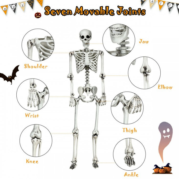 Costway 5.4 ft Halloween Skeleton Decoration Adjustable Life-Size - Suitable for Haunted House Party Decor