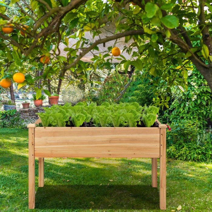 Elevated Wooden Garden/Patio Planter Boxes for Vegetable Gardening