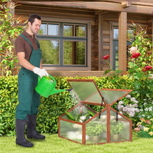 Load image into Gallery viewer, Outdoor Garden Patio Mini Dual-Chamber Wooden Greenhouse
