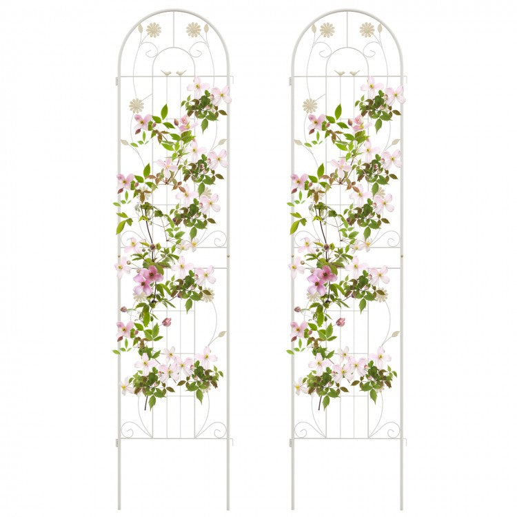 2-Piece Outdoor Garden White Metal Decorative Trellis & Plant Stand Set