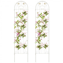 Load image into Gallery viewer, 2-Piece Outdoor Garden White Metal Decorative Trellis &amp; Plant Stand Set
