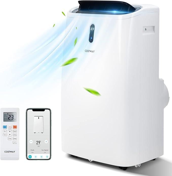 Auction Deal - portable air conditioner