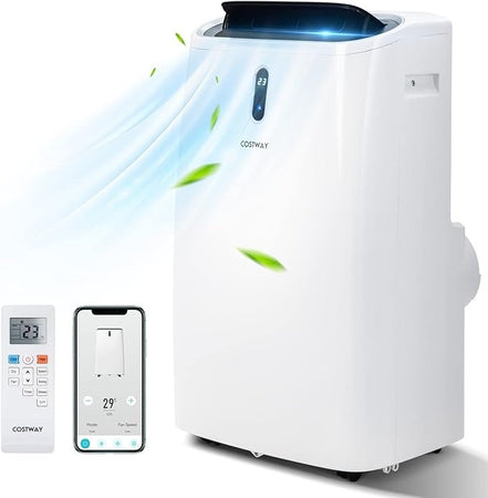 Auction Deal - portable air conditioner
