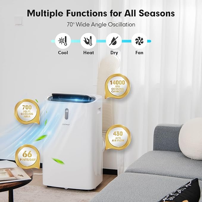 Auction Deal - portable air conditioner