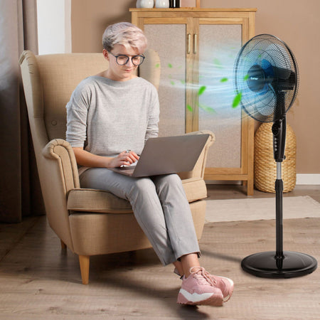 Auction Deal -16-Inch Black Silent Upright Fan