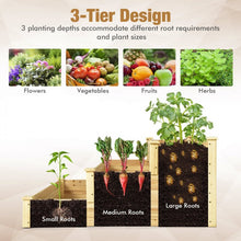 Load image into Gallery viewer, Outdoor Garden Yard 3-Tier Raised Garden Planter
